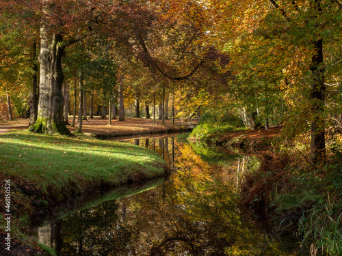 Autumn park with trees and lake at park Groeneveld in Baarn, the Netherlands