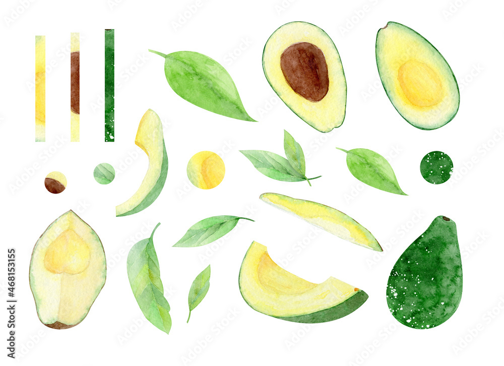 Watercolor set avocado on a white background Watercolor set avocado on a white background