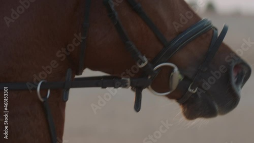 Slow motion close up tracking shot of the face of a galloping horse with sunset behind.