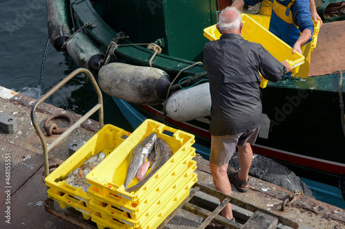 Fotografie fisherman unloading fish from the boat