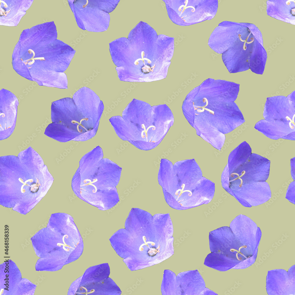 Seamless pattern made from blue flower. Blue flower. 