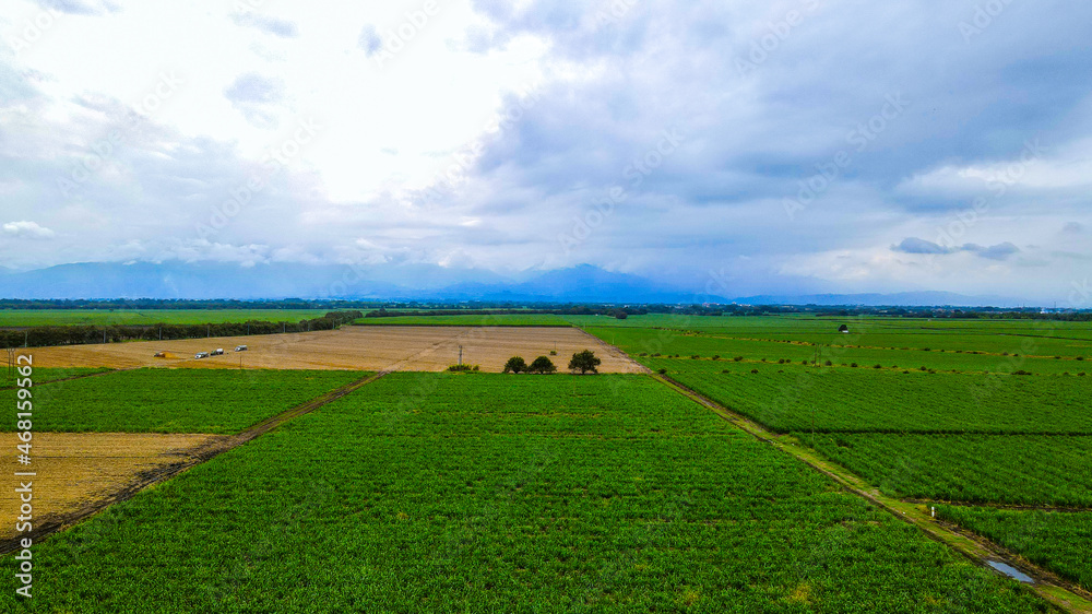 Naklejka premium Valle del cauca