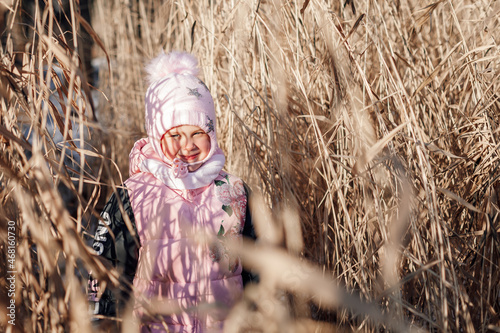 Little girl in dry grass. Child in pink warm winter suit explores thicket of reeds on sunny day in nature and enjoys walk.