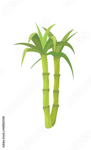 Bamboo stems with leaves. Stick green leaf growing sugar cane  cartoon vector flat icon illustration
