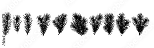 A set of black silhouette Christmas tree green branches for a Christmas decor. Branches fir tree, pine isolated.