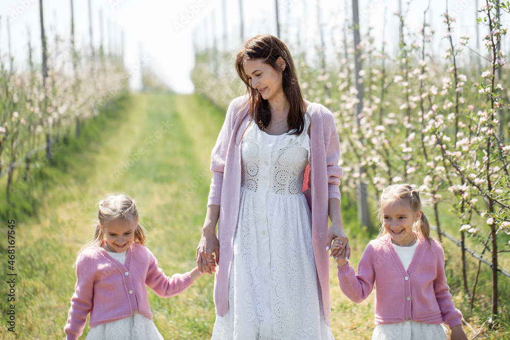 Fototapeta premium Mother and her twin daughters hold hands and walk through a blooming Apple orchard in spring