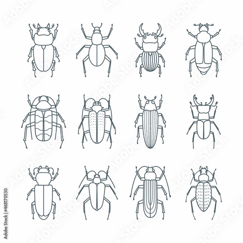Beetle insects icons set in linear style