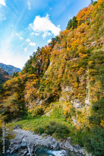 カラフルな渓谷の紅葉 