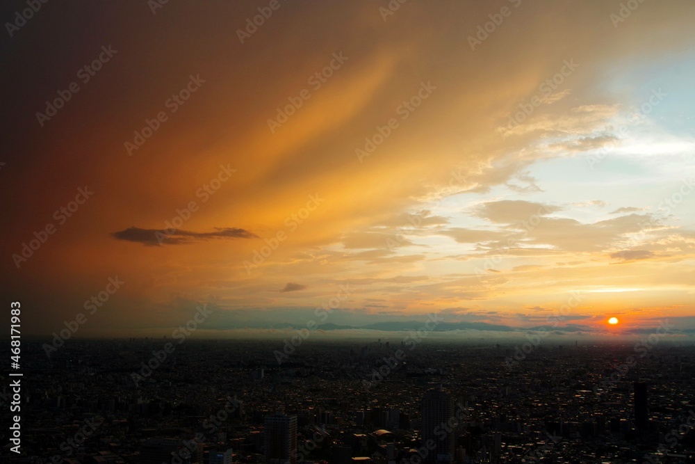 Fototapeta premium 東京の夕景