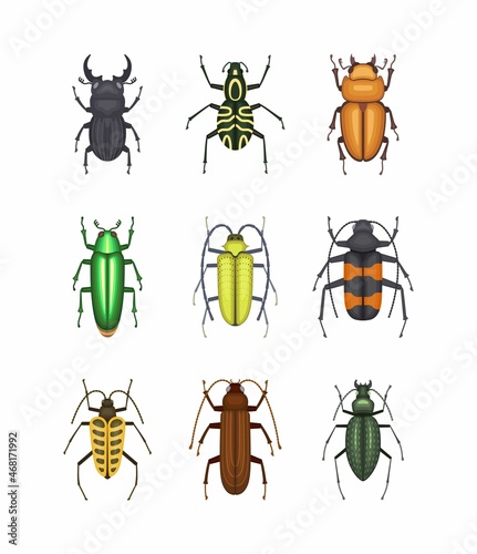 Color beetles icons © Ekaterinaku