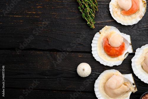 Raw Scallops, on black wooden table background, top view flat lay, with copy space for text