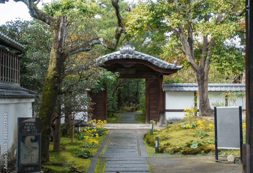 秋の京都、園徳院(高台寺の塔頭)の唐門が見える風景 秋の京都、園徳院(高台寺の塔頭)の唐門が見える風景