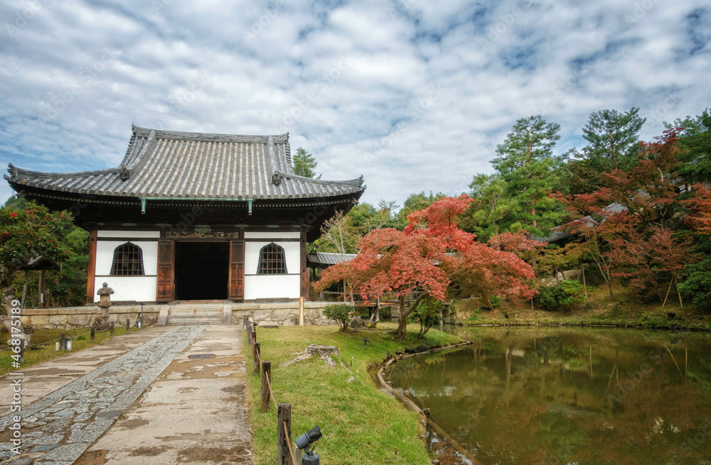 秋の京都、高台寺の庭園と開山堂、臥龍池が見える風景