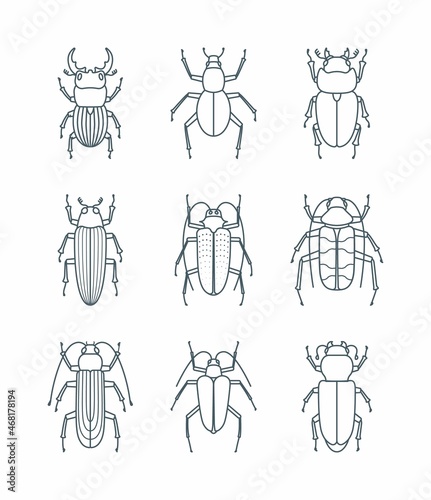 A set of simple outline beetle icons