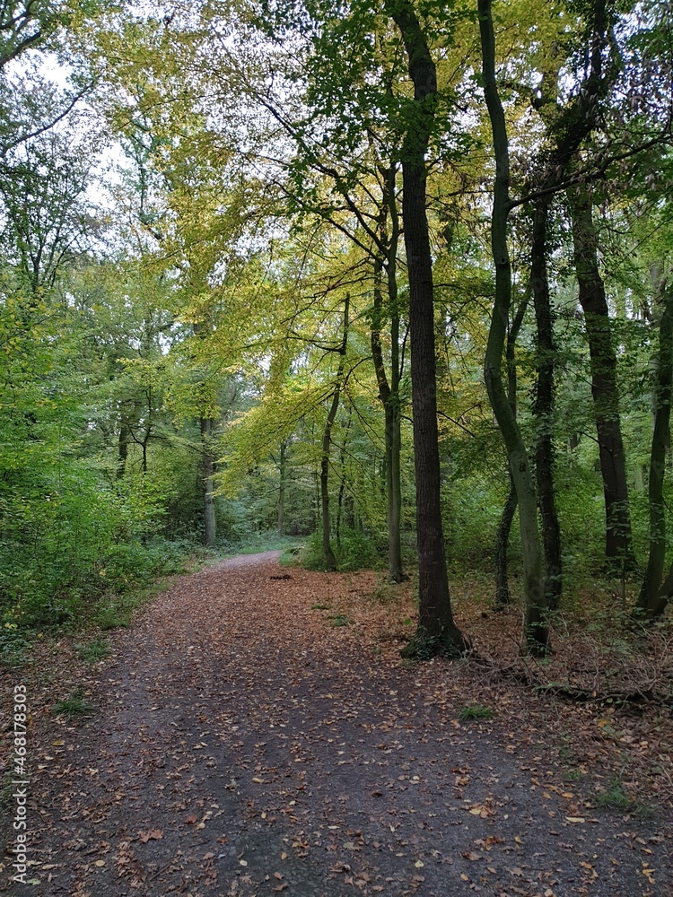 Herbststimmung