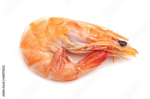 Red shrimp isolated on a white background.