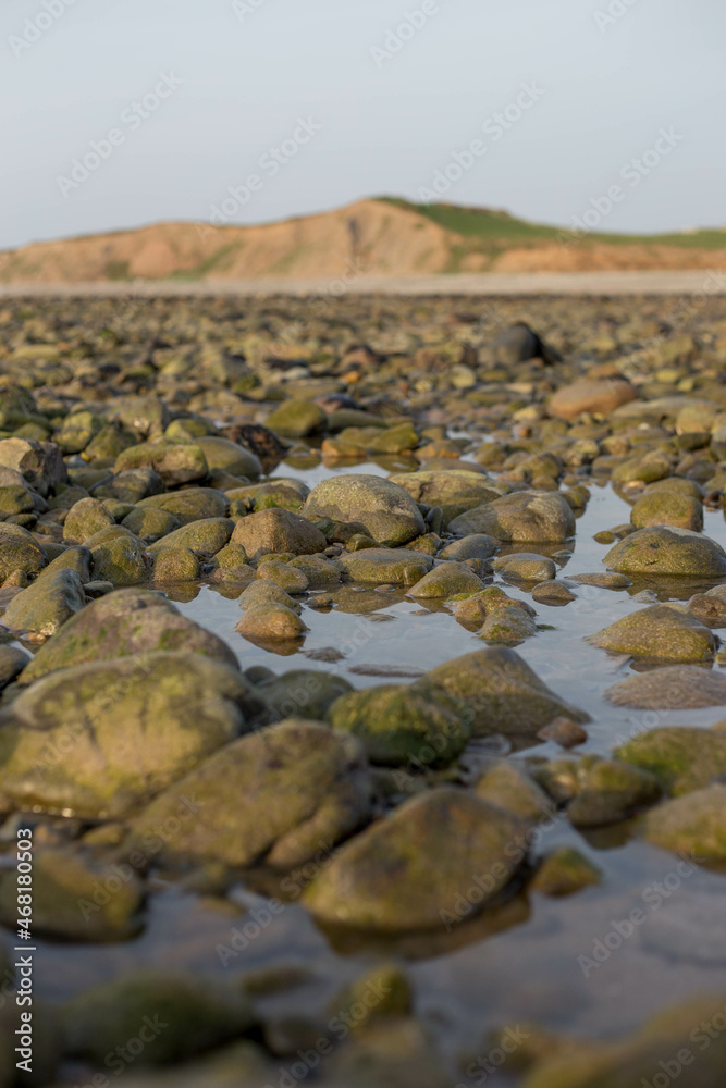 Rocks in water on beach