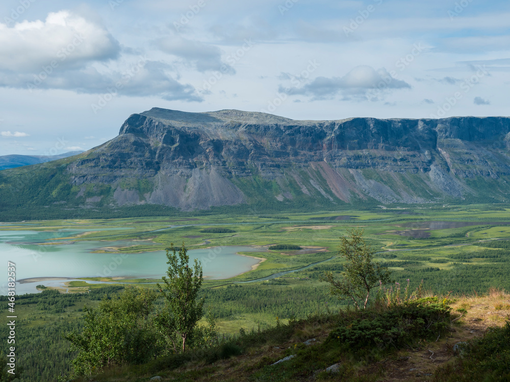 View on meandering glacial Rapadalen river delta valley at Sarek national park, Sweden Lapland with rock, mountains and birch trees. Summer day, white clouds