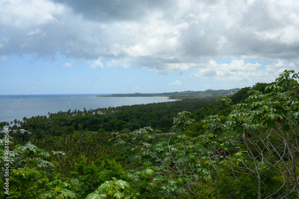 Obraz premium perspective carribbean sea coastline jungle tropical forest. The photo was taken from a high point in the mountains of the Dominican Republic to the ocean. The prospect turned out to be great, very be