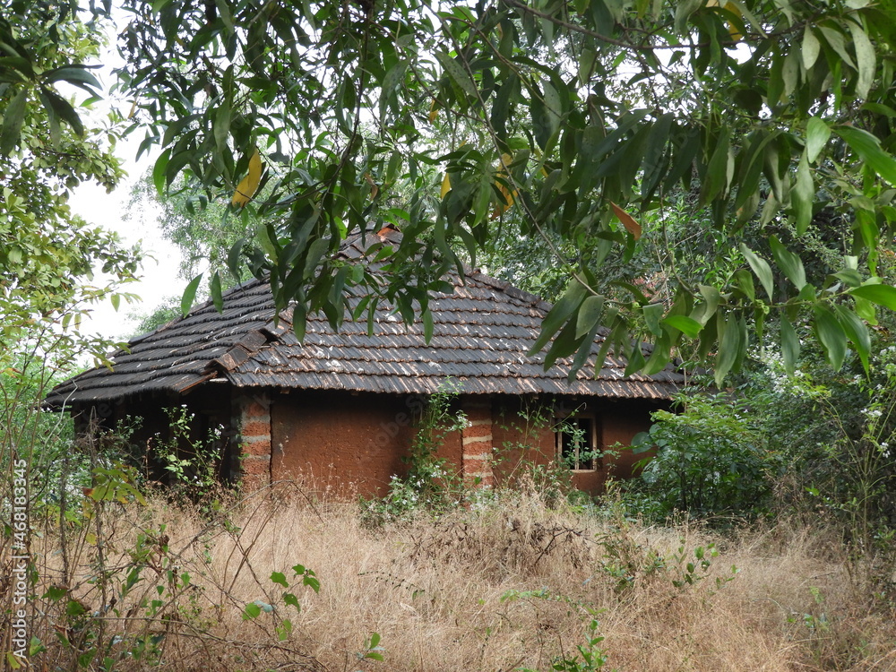 old house in the forest old house in the forest