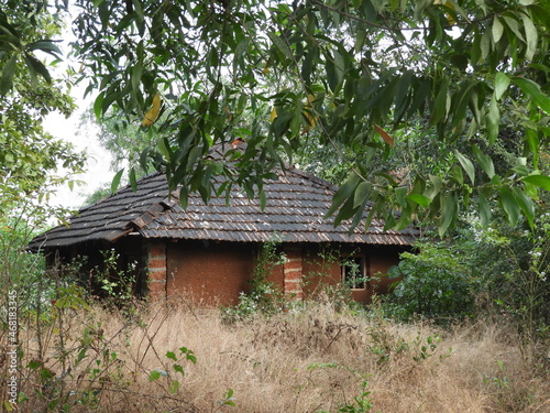 old house in the forest