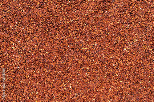 Sesame grain oilseed background. brown color oilseeds