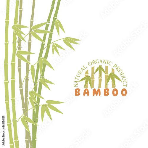 Fototapeta Naklejka Na Ścianę i Meble -  Vector illustration of green bamboo template background