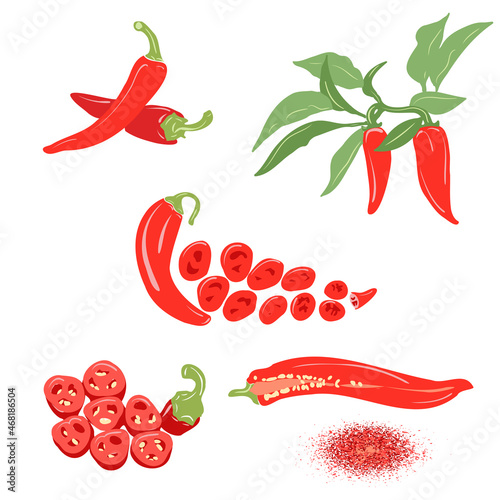Chili pepper vector set. Pepper on a branch, a pod in a section, ground paprika, slices of chopped red pepper. Color illustration on a white background.