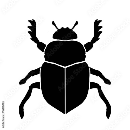 Silhouette of dung beetle on white photo