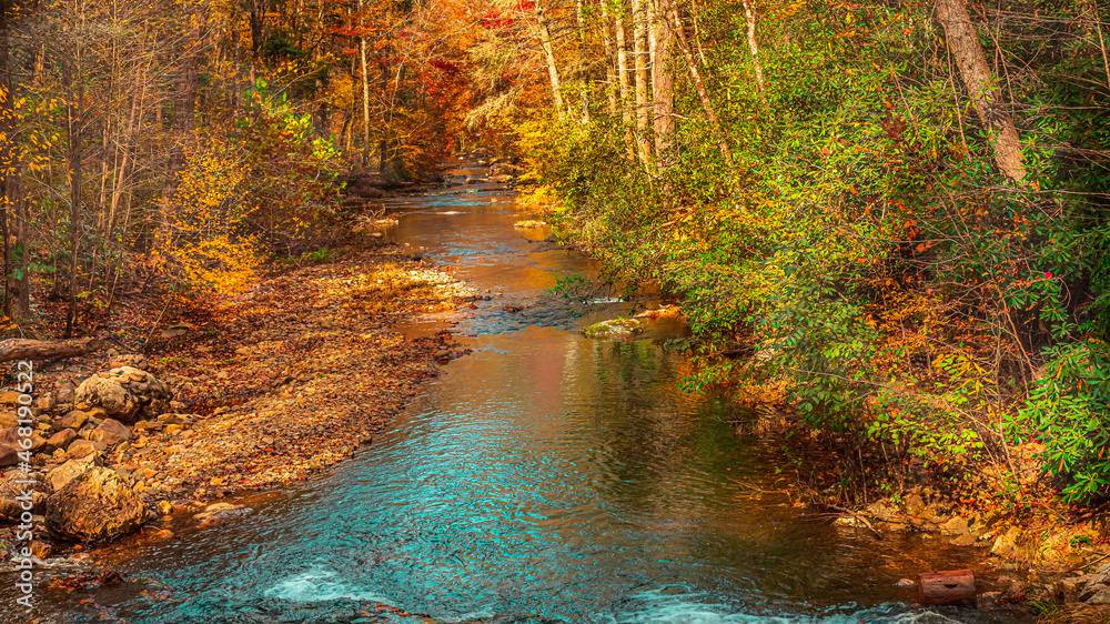 Clear stream flowing through mountain forest.