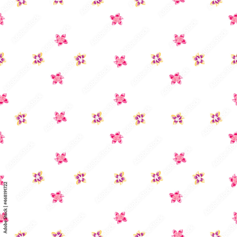 Pink plumeria flower seamless pattern isolated on white background.