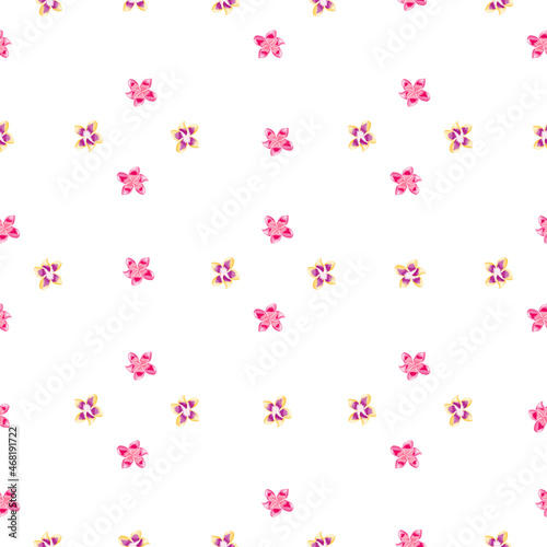 Pink plumeria flower seamless pattern isolated on white background.