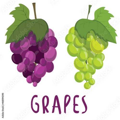 bunch of grapes with leaves photo