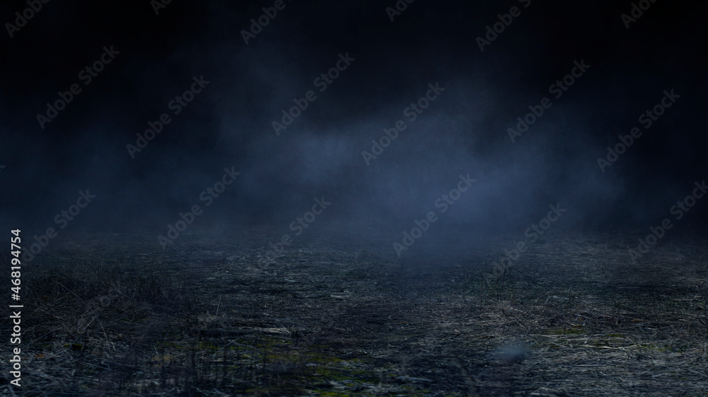 Dark street, wet asphalt, reflections of rays in the water. Abstract dark blue background, smoke, smog. Empty dark scene, neon light, spotlights. Dark street, wet asphalt, reflections of rays in the water. Abstract dark blue background, smoke, smog. Empty dark scene, neon light, spotlights.