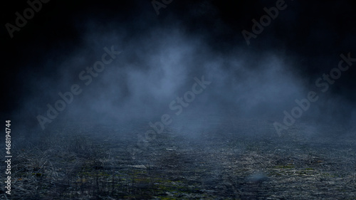 Dark street, wet asphalt, reflections of rays in the water. Abstract dark blue background, smoke, smog. Empty dark scene, neon light, spotlights. 