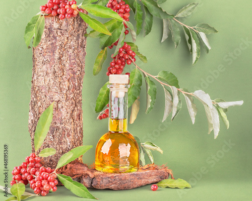 Glass bottle with natural oil and branches with red sea buckthorn berries on a green background, front view, close-up. Healthy eating, vegan food. photo