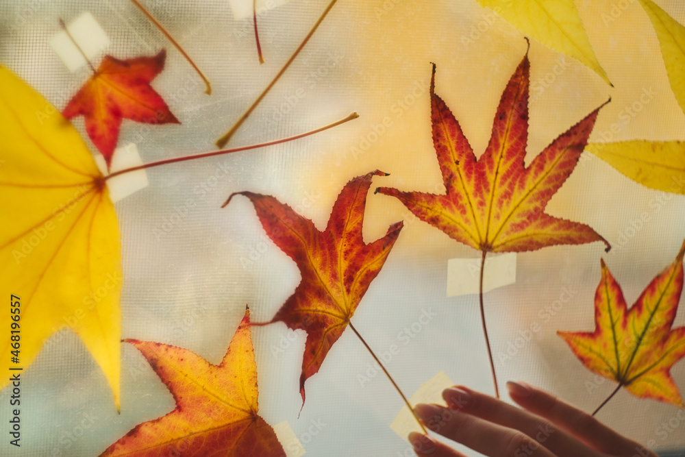 Obraz premium Let the autumn last forever - colorful autumn leaves stick down the window with dull winter view