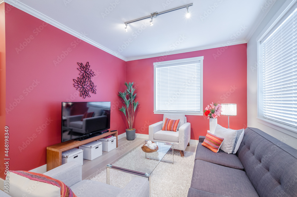 Fototapeta premium Interior design of a luxury living room