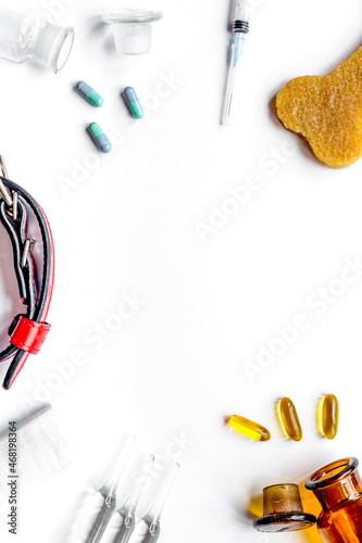 concept pets care treatment on white background top view
