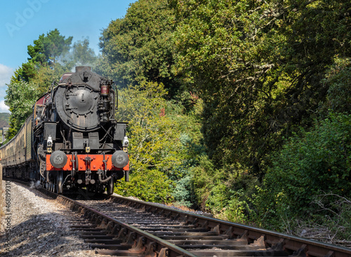 Bild auf Leinwand Steam engine approaching Kingswear station, Dartmouth, Devon, United Kingdom