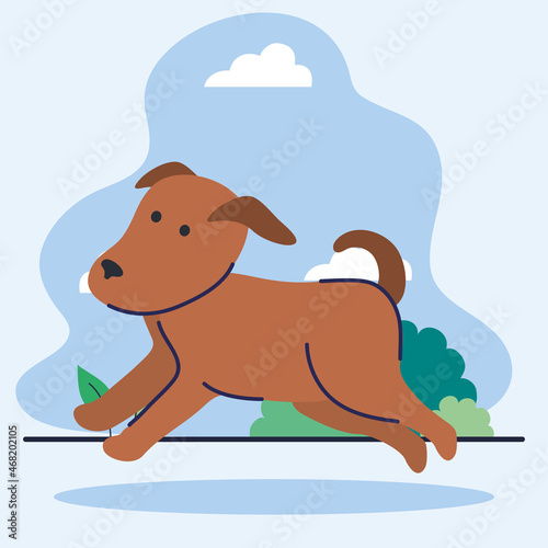 dog running in outdoor