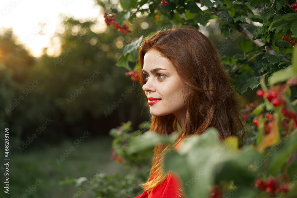 pretty woman in red dress glamor posing nature pretty woman in red dress glamor posing nature