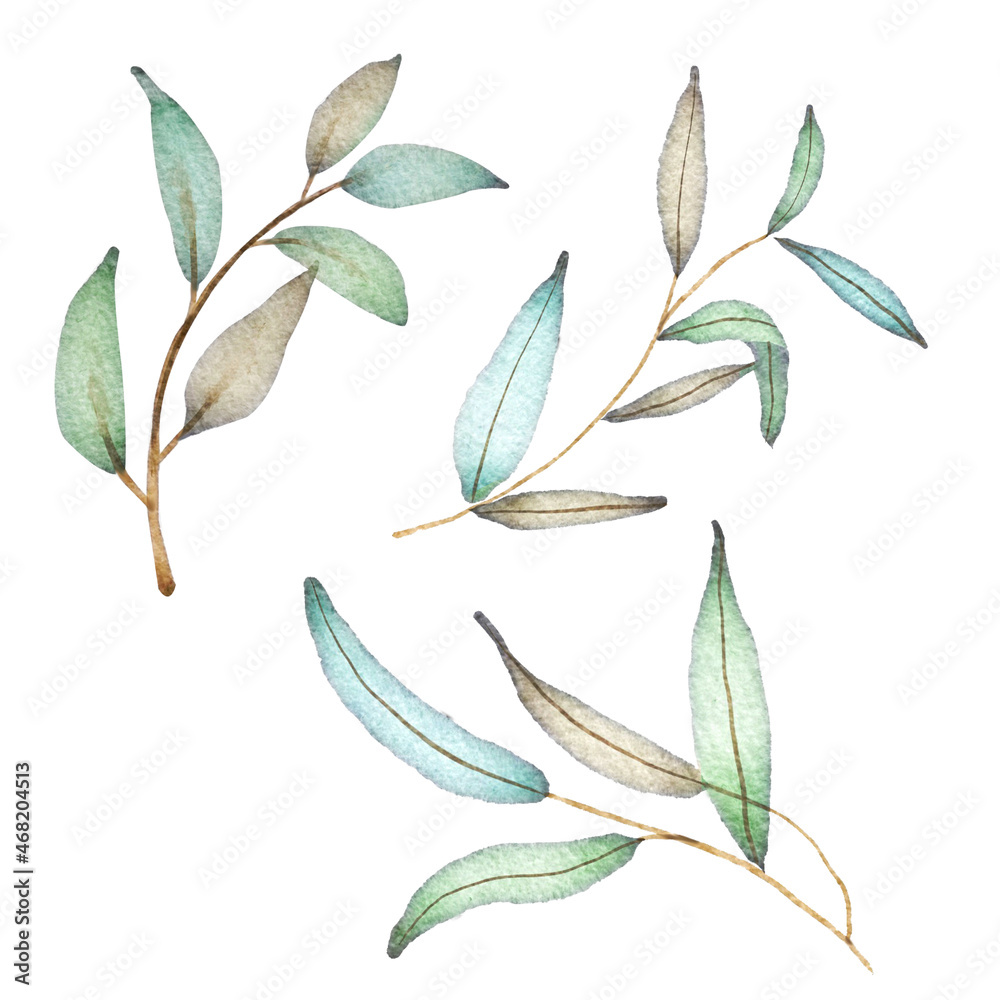 Green Tree Branches Watercolor Isolated Elements Set Green Tree Branches Watercolor Isolated Elements Set