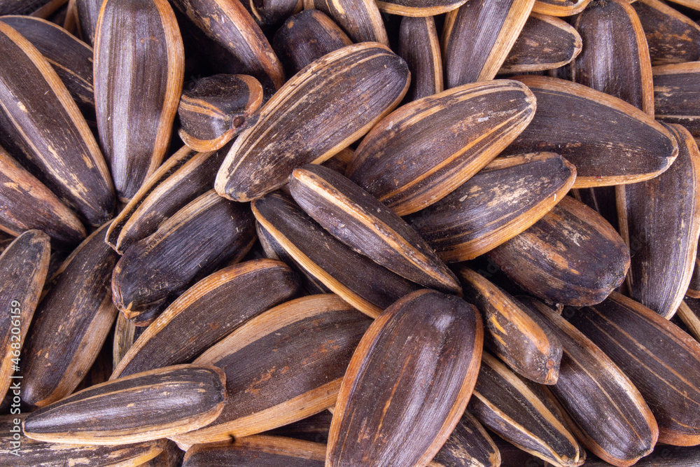 sunflower seeds pile isolated on white background sunflower seeds pile isolated on white background