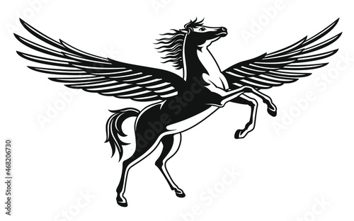 Pégase, cheval ailé cabré, dessin au trait en noir et blanc