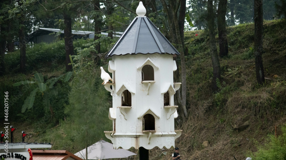 dove cage dove cage