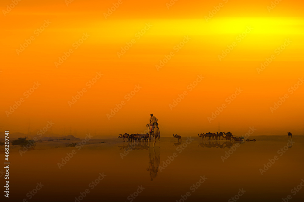 Naklejka premium Camel Shepherd on Desert 