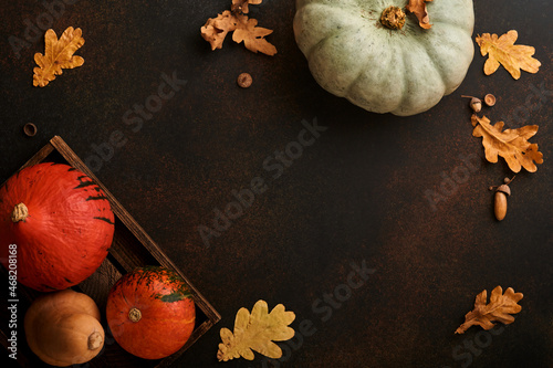 фотографія Pumpkin