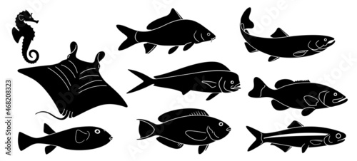 Set of Fish. Manta Black and White Illustration. Fish Vector. Fish Tattoo on White Background. Ocean Life. Sea Fish Sketch for Coloring Book.