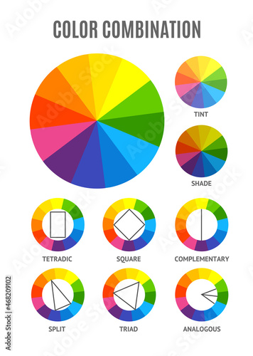 Different Color Circle Palette Combination Set. Vector